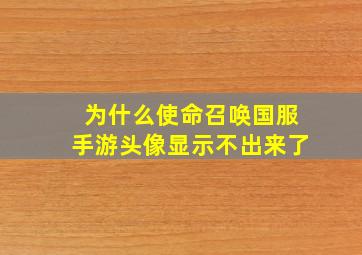 为什么使命召唤国服手游头像显示不出来了