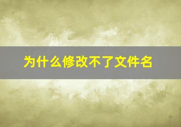 为什么修改不了文件名