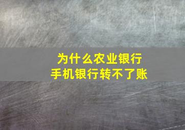 为什么农业银行手机银行转不了账