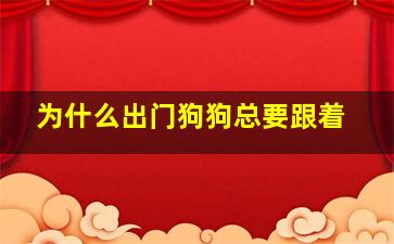 为什么出门狗狗总要跟着