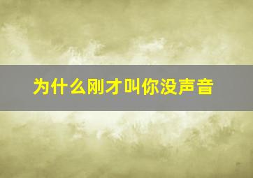 为什么刚才叫你没声音