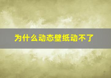 为什么动态壁纸动不了