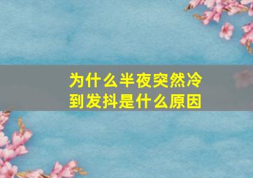 为什么半夜突然冷到发抖是什么原因