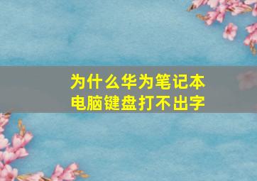 为什么华为笔记本电脑键盘打不出字