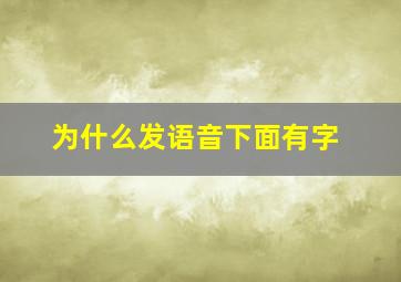 为什么发语音下面有字