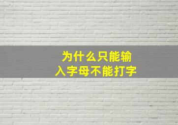 为什么只能输入字母不能打字