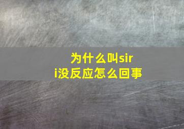 为什么叫siri没反应怎么回事