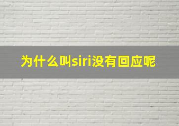 为什么叫siri没有回应呢