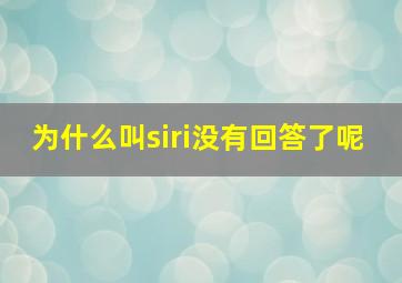 为什么叫siri没有回答了呢