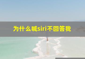 为什么喊siri不回答我