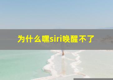 为什么嘿siri唤醒不了