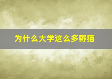 为什么大学这么多野猫