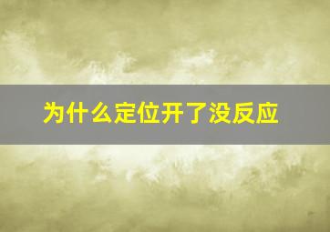 为什么定位开了没反应