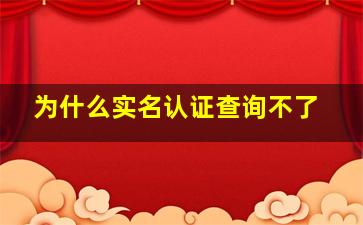 为什么实名认证查询不了