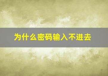 为什么密码输入不进去