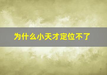 为什么小天才定位不了