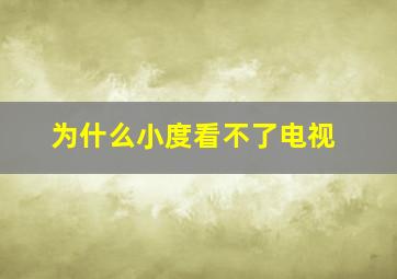 为什么小度看不了电视