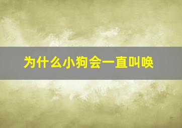 为什么小狗会一直叫唤