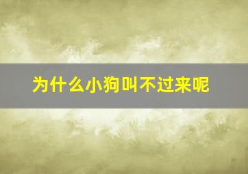 为什么小狗叫不过来呢