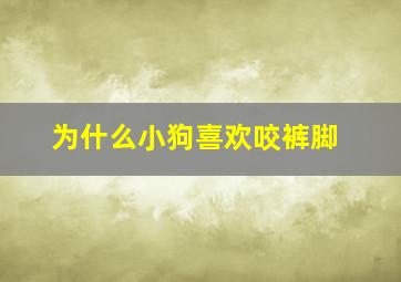 为什么小狗喜欢咬裤脚