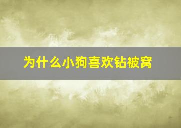 为什么小狗喜欢钻被窝