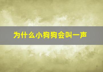 为什么小狗狗会叫一声