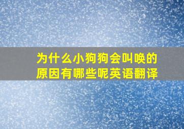 为什么小狗狗会叫唤的原因有哪些呢英语翻译