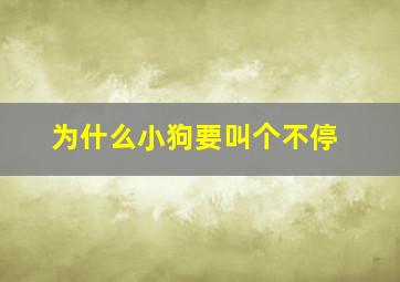 为什么小狗要叫个不停