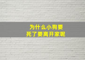 为什么小狗要死了要离开家呢