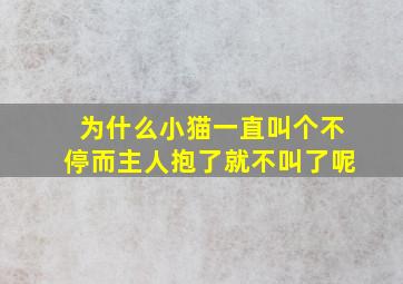 为什么小猫一直叫个不停而主人抱了就不叫了呢