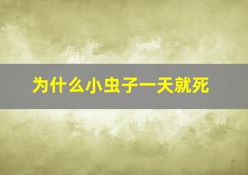 为什么小虫子一天就死