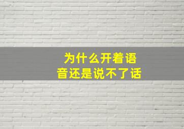 为什么开着语音还是说不了话