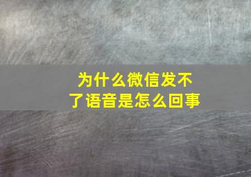 为什么微信发不了语音是怎么回事