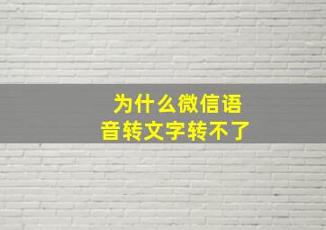 为什么微信语音转文字转不了