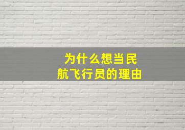 为什么想当民航飞行员的理由