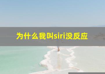 为什么我叫siri没反应