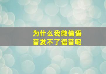 为什么我微信语音发不了语音呢