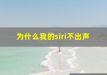 为什么我的siri不出声