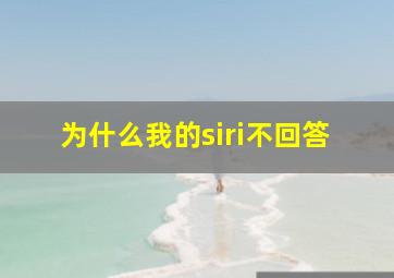 为什么我的siri不回答