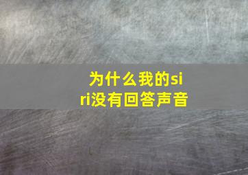 为什么我的siri没有回答声音