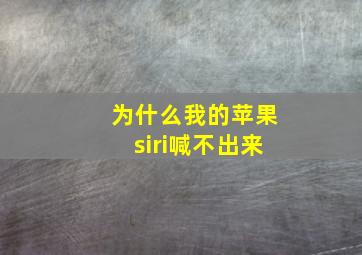 为什么我的苹果siri喊不出来