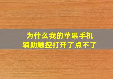 为什么我的苹果手机辅助触控打开了点不了