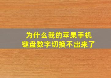 为什么我的苹果手机键盘数字切换不出来了