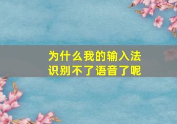 为什么我的输入法识别不了语音了呢