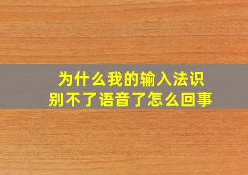 为什么我的输入法识别不了语音了怎么回事