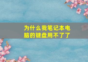 为什么我笔记本电脑的键盘用不了了