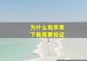 为什么我苹果下载需要验证