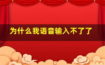 为什么我语音输入不了了