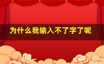 为什么我输入不了字了呢