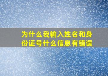 为什么我输入姓名和身份证号什么信息有错误